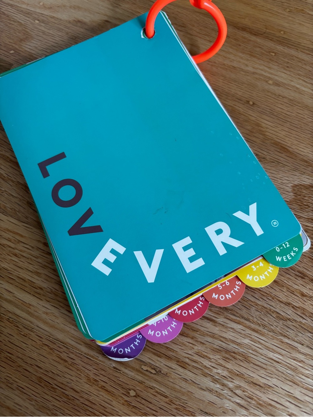 Lovevery Teal Baby Milestone Cards